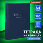 Тетрадь на кольцах Brauberg со сменным блоком для учебы Большая 225х302мм А4 100л