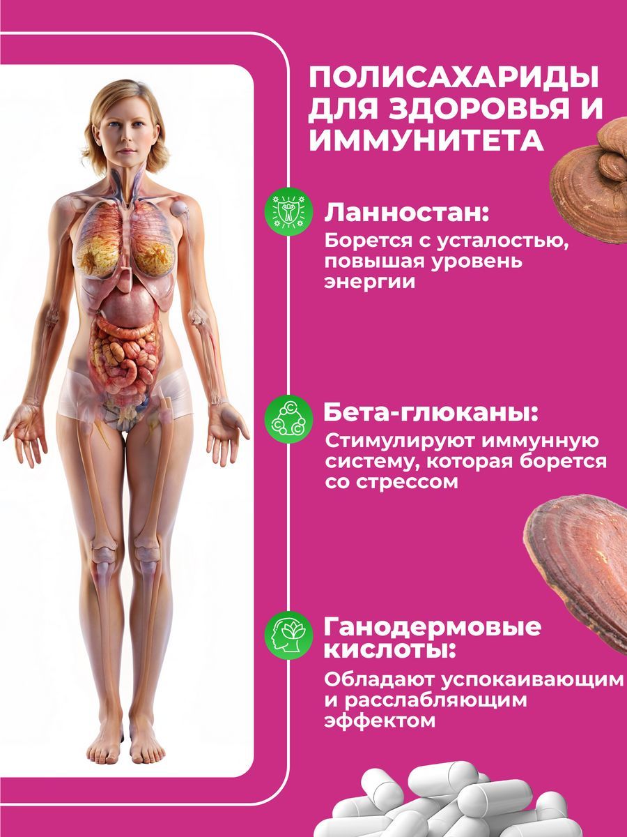 Грибная аптека Bionormula Рейши для сердца и сосудов иммуномодулятор для взрослых 60 капсул - фото 4