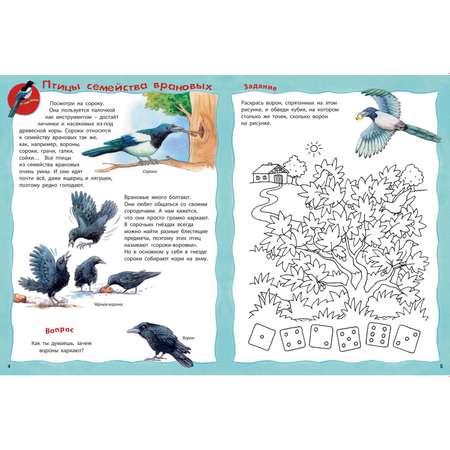 Книга Издательство Энас-книга Как живут птицы Книжка-активити Райхенштеттер Давай познакомимся