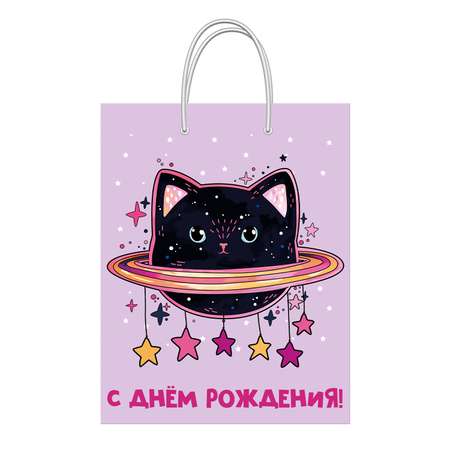 Пакет ФП Космо-кот средний 26*32.4*12.7