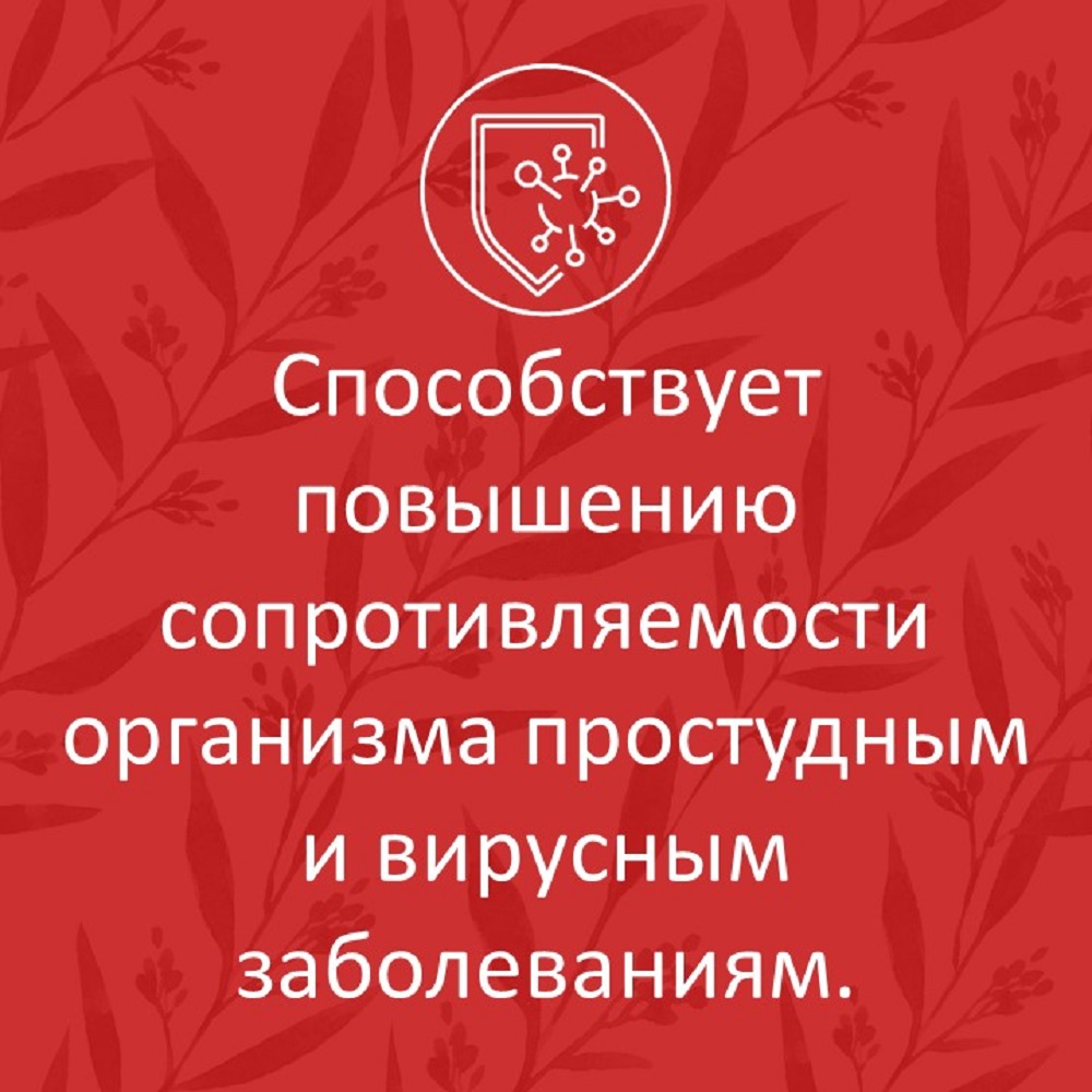 Сироп шиповника ФИТА-ВИТА-МИКС с витамином С для иммунитета 100 мл - фото 5