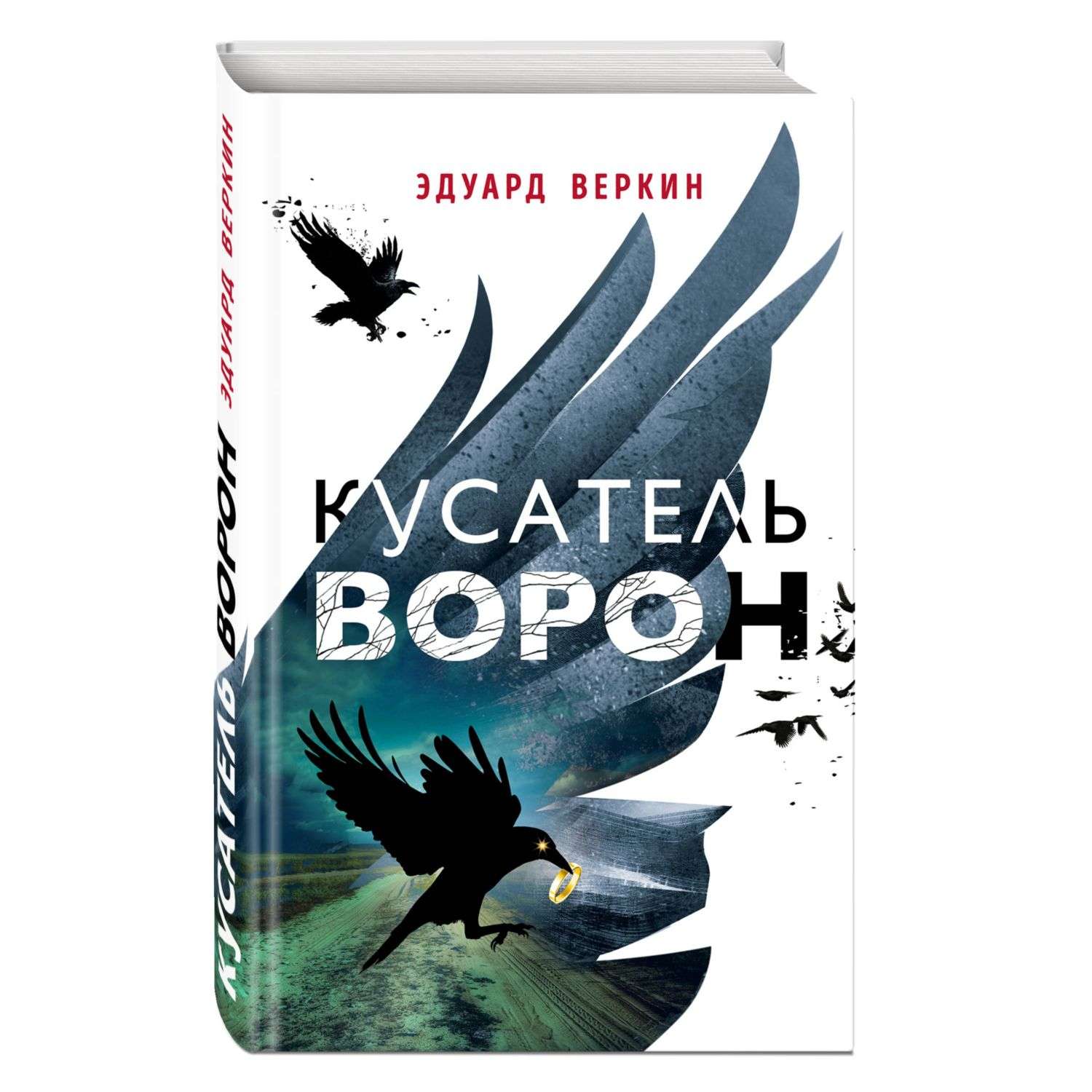 Книга ворона. Веркин э. 