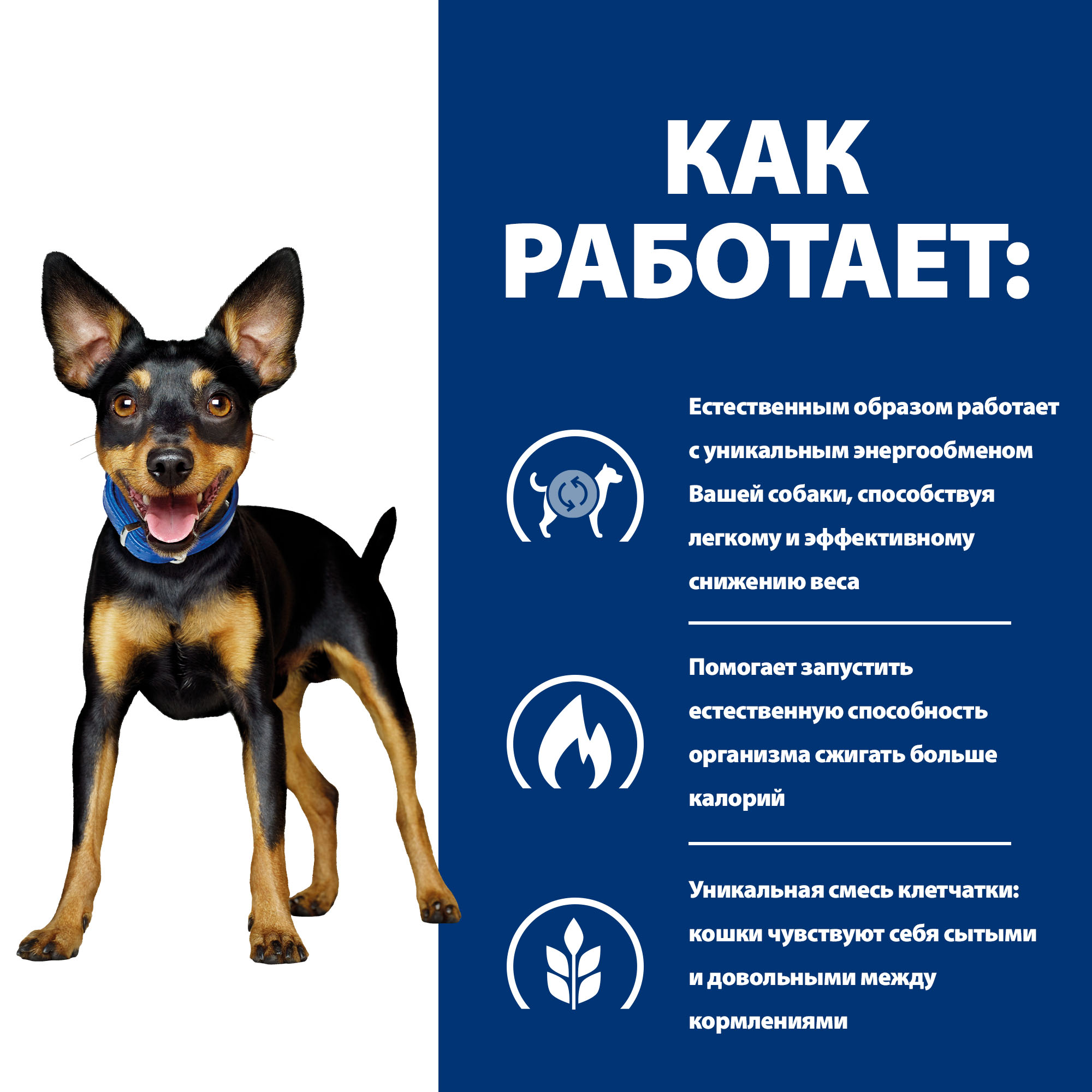 Корм для собак мелких пород HILLS 3кг Prescription Diet Metabolic Mini для снижения и контроля веса с курицей сухой - фото 4