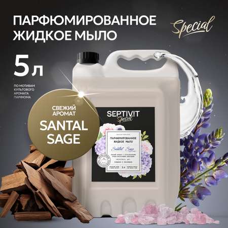 Жидкое мыло парфюмированное SEPTIVIT Premium Santal Sage 5л