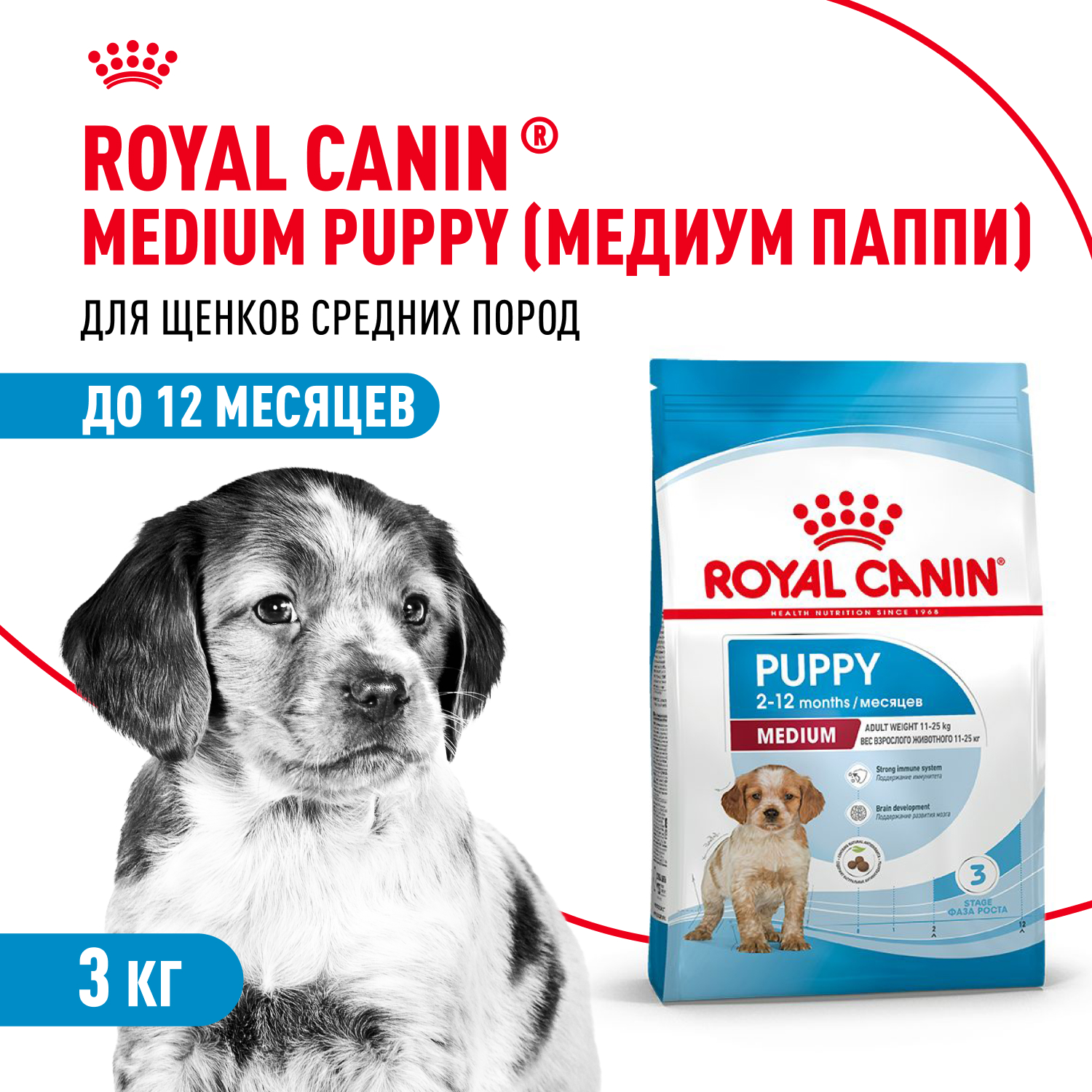 Корм для щенков ROYAL CANIN средних пород 2-12 месяцев 3кг - фото 1