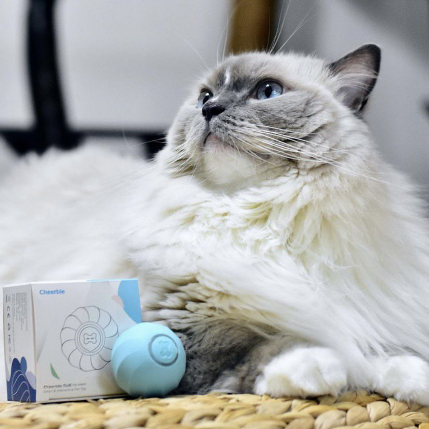Интерактивная игрушка Cheerble мячик для кошек Ice Cream Ball Blue - фото 4