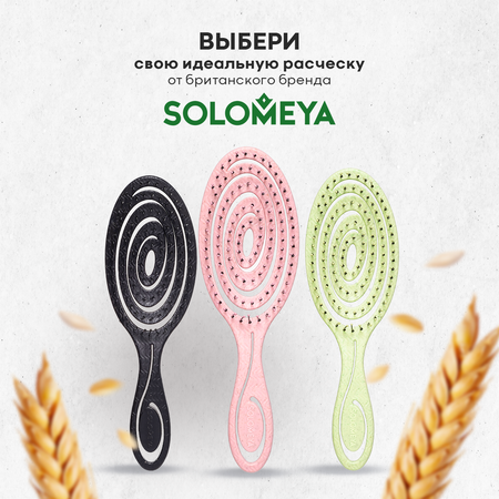 Щетка SOLOMEYA