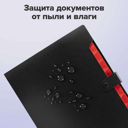 Папка-органайзер Brauberg А4