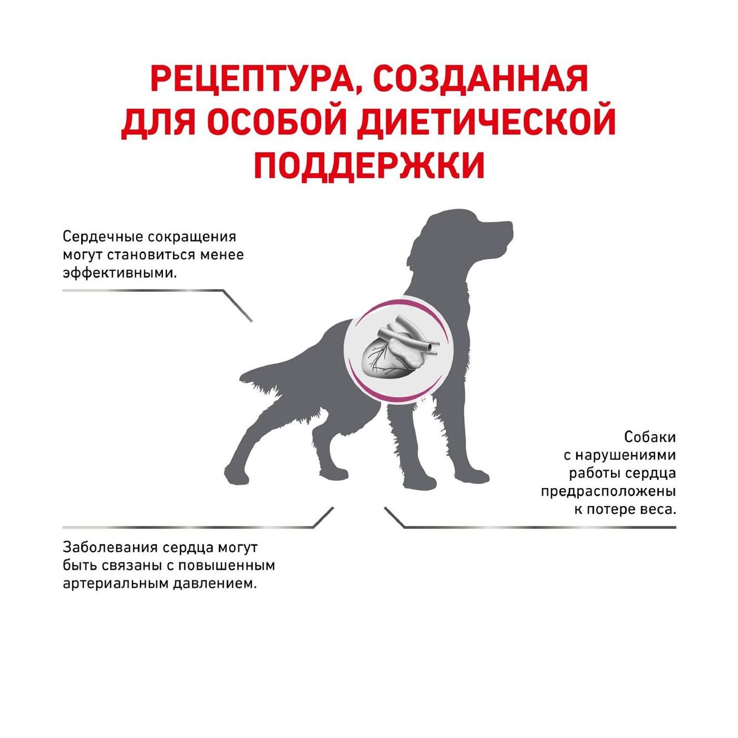 Корм для собак ROYAL CANIN Cardiac EC26 при сердечной недостаточности 2кг - фото 3