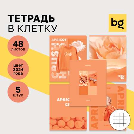 Тетрадь BG 48л А5 клетка Apricot