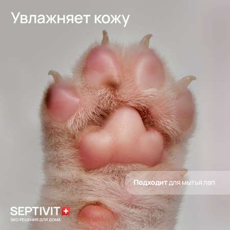 Шампунь для кошек SEPTIVIT Premium 1 л