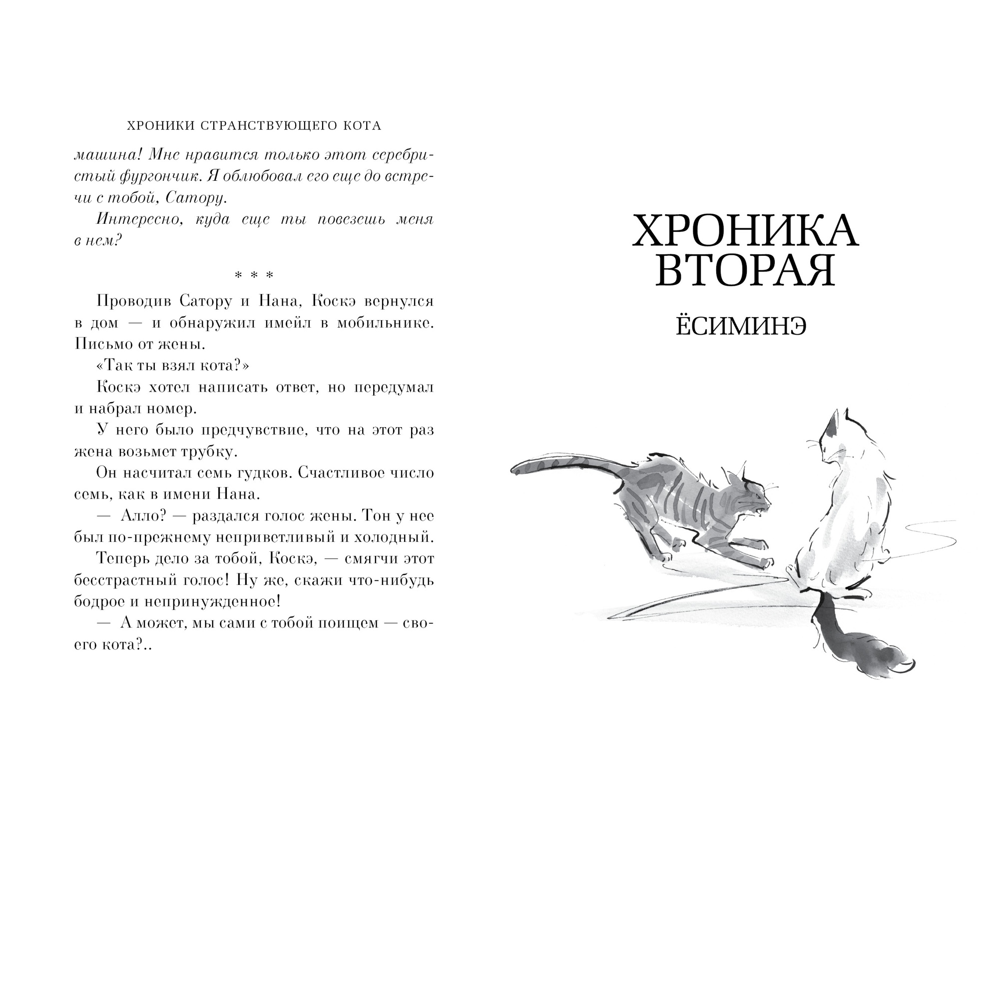 Книга АЗБУКА Хроники странствующего кота - фото 13