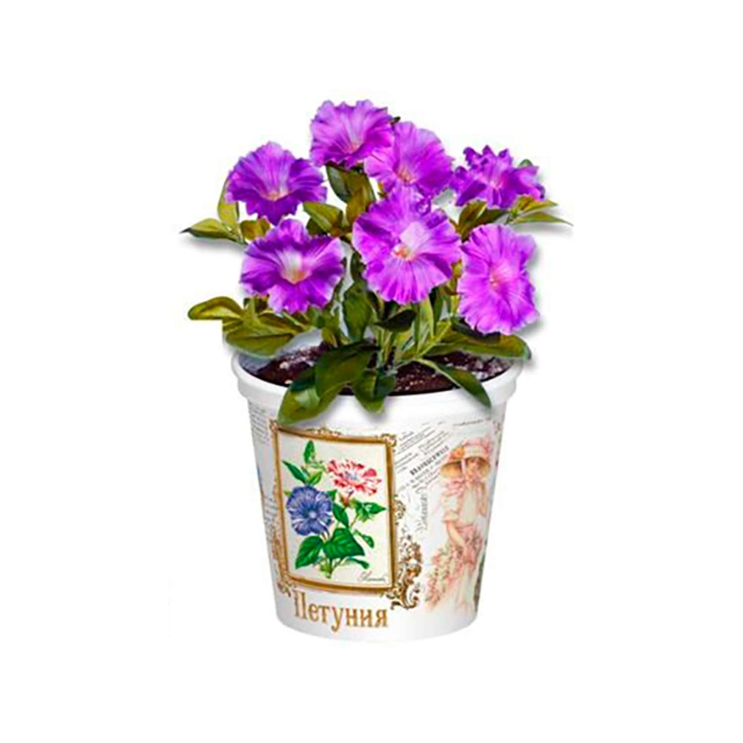 Набор для выращивания растений Rostok Visa Вырасти сам цветок Петуния в подарочном горшке - фото 5