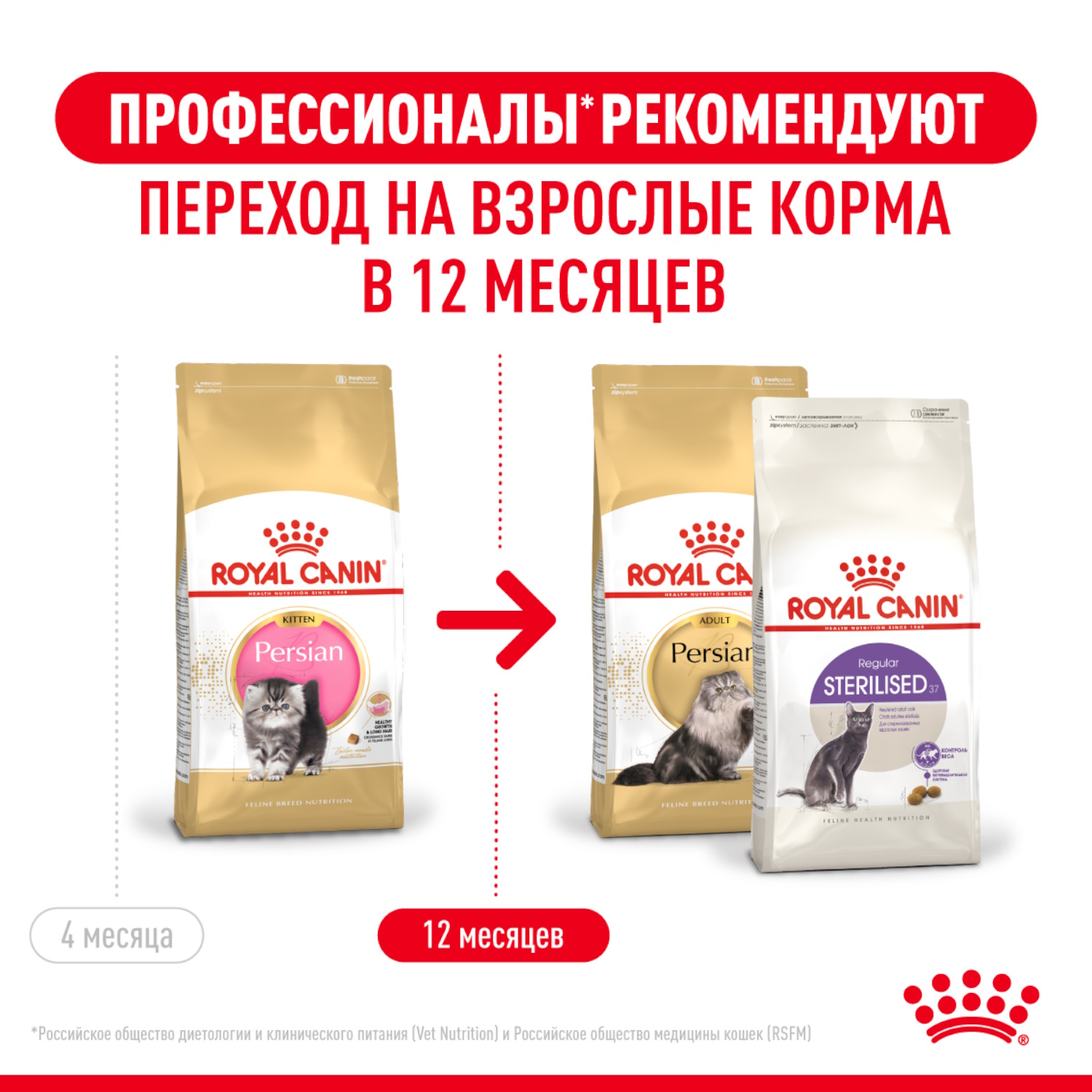 Сухой корм для кошек ROYAL CANIN Kitten 2 кг (полнорационный) - фото 6