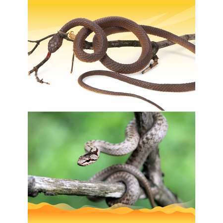 Фигурка животного ДЖАМБО змея JB0208743