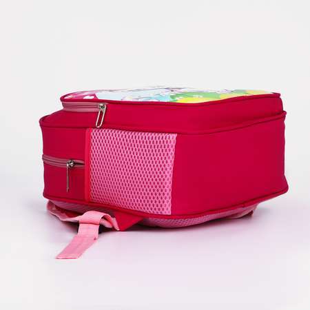 Рюкзак Sima-Land на молнии 3 наружных кармана цвет розовый