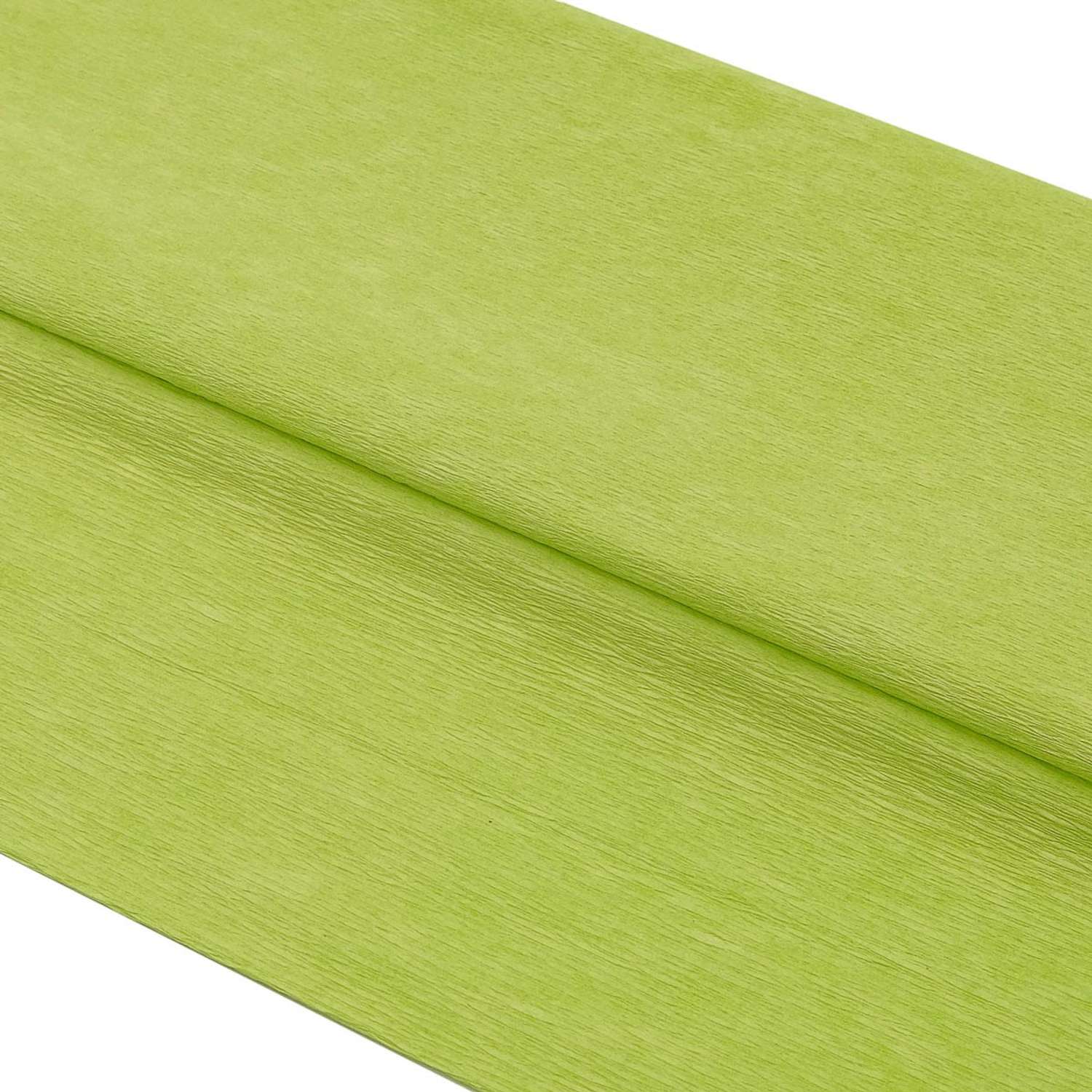 Бумага Astra Craft креповая упаковочная для творчества и флористики 50х200 см 35 гр/м2 2 шт светло - зеленая - фото 1
