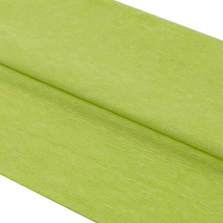 Бумага Astra Craft креповая упаковочная для творчества и флористики 50х200 см 35 гр/м2 2 шт светло - зеленая