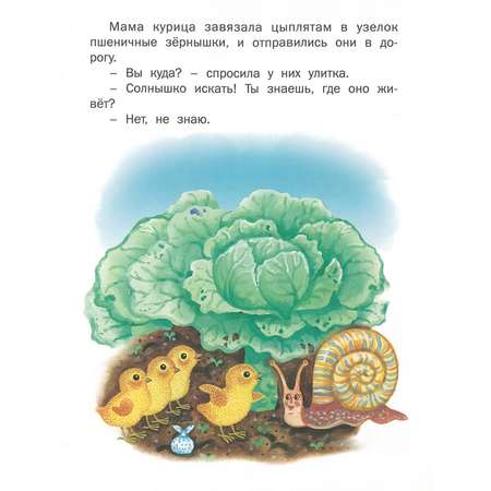 Книга Русич У солнышка в гостях