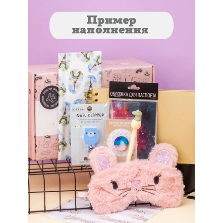 Подарочный бокс для девочки iLikeGift путешествие