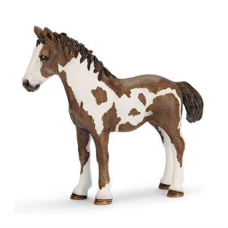 Фигурка SCHLEICH Жеребенок Пинто 13695