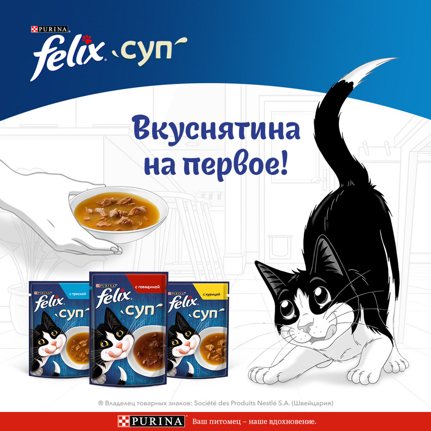 Корм для кошек Felix Суп с треской, 48 г