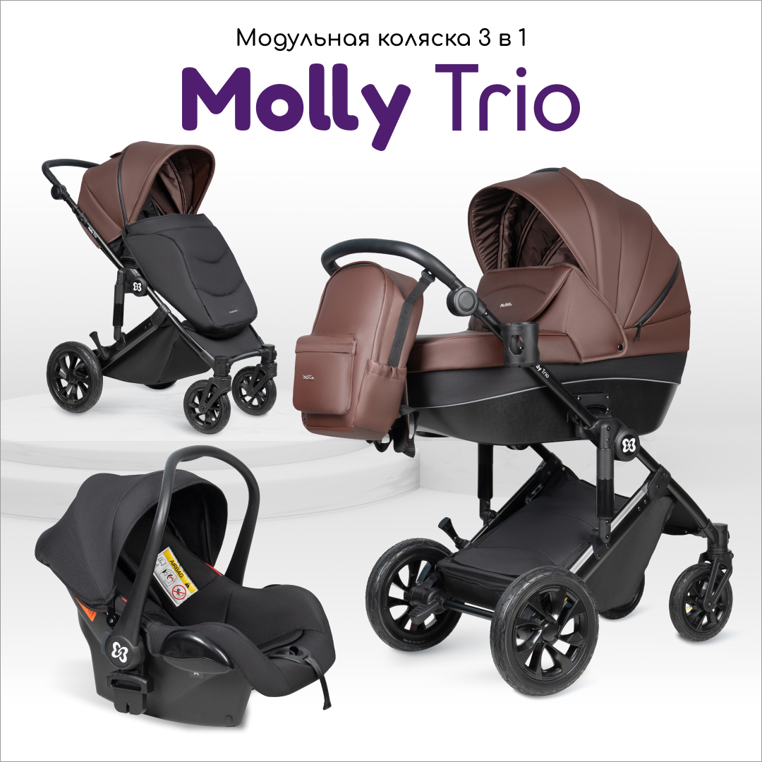 Коляска для новорожденных 3в1 Farfello Molly Trio - фото 1