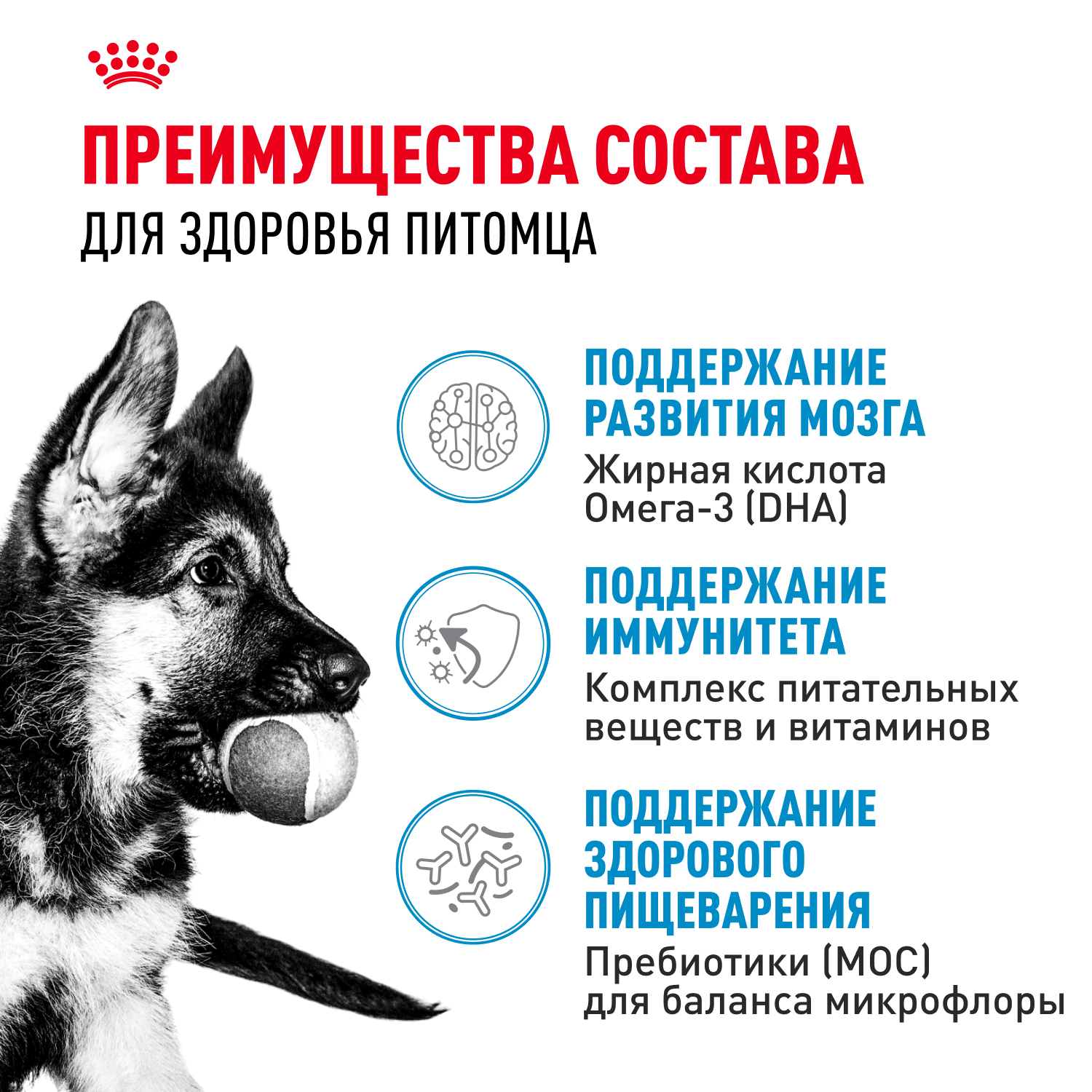 Корм для щенков ROYAL CANIN Maxi Puppy 3кг - фото 3