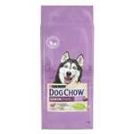 Сухой корм для собак Dog Chow 14 кг ягненок (полнорационный)