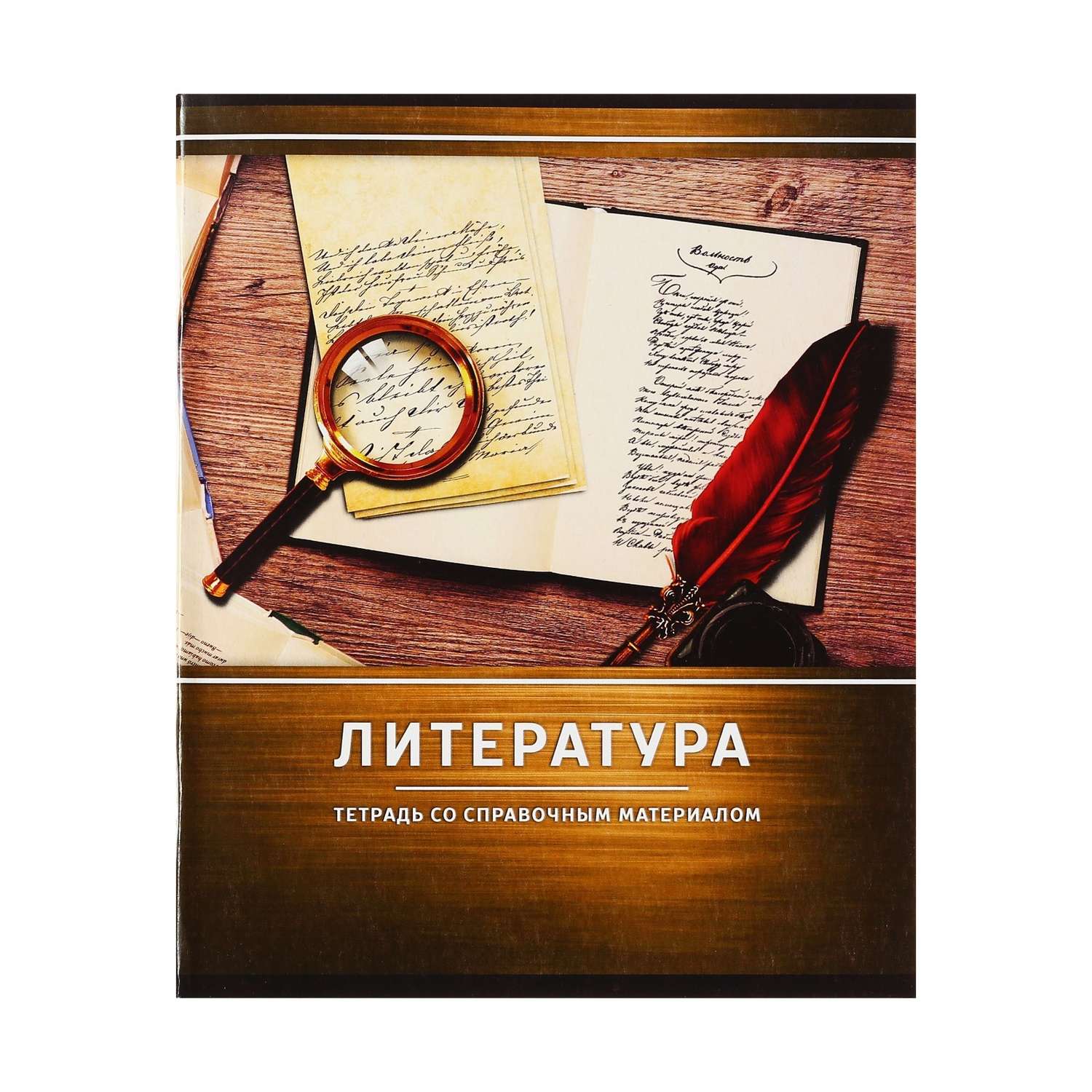 Тетрадь предметная Calligrata Металл Литература линейка 48л 3941455 - фото 1