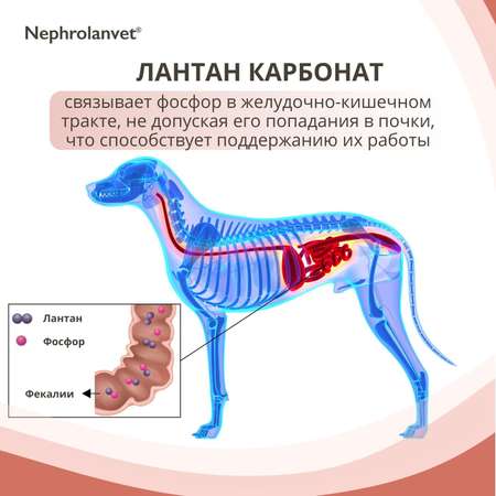 Паста для кошек и собак Нефроланвет 75г