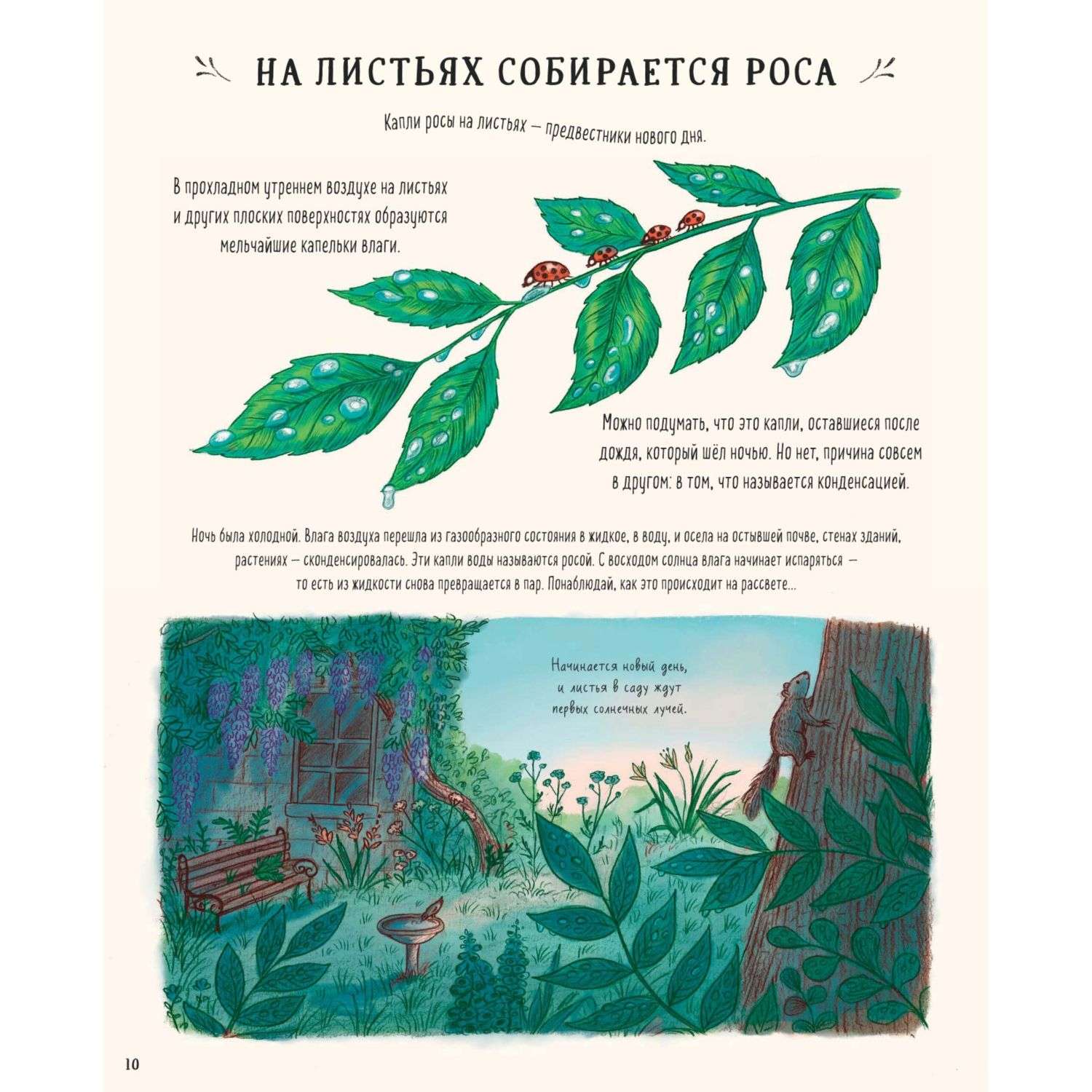 Книга Эксмо Оглянись вокруг 50 маленьких событий в живой природе ради которых стоит замедлиться - фото 7