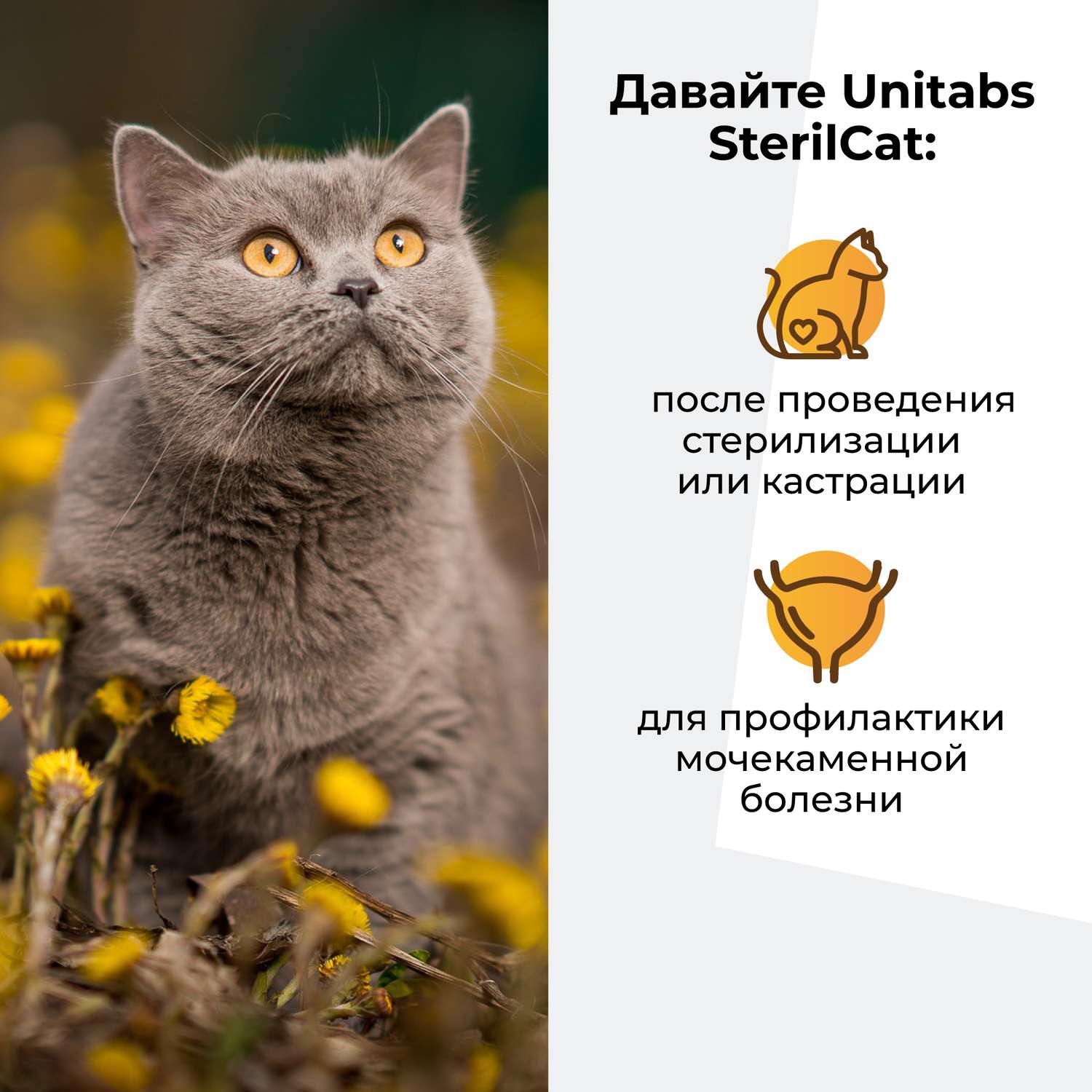 Витамины для кошек Unitabs Steril Cat с Q10 120таблеток - фото 4