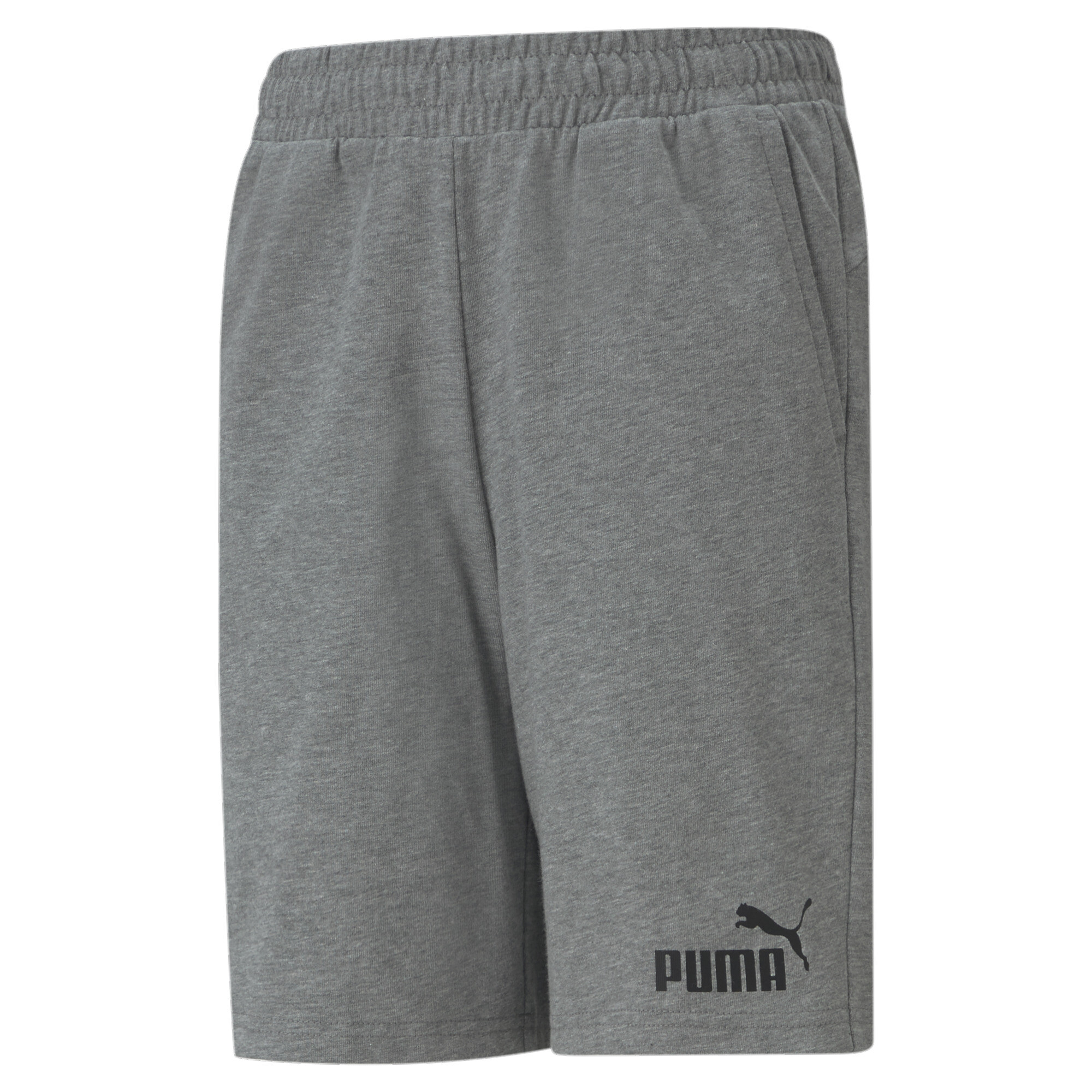 Шорты Puma 58697103 - фото 1