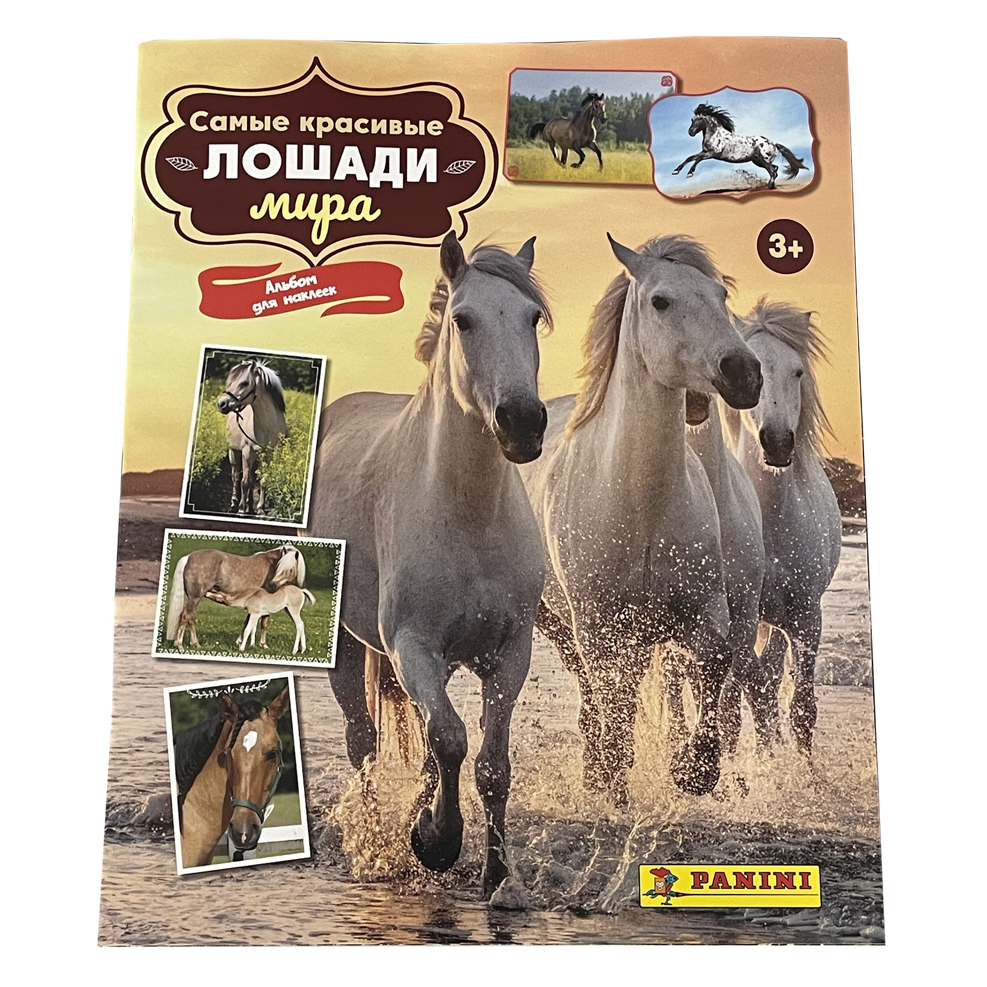 Альбом Panini Лошади Horses купить по цене 269 ₽ в интернет-магазине Детский  мир