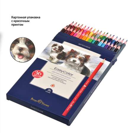 Карандаши цветные Bruno Visconti EasyColor 36 цветов