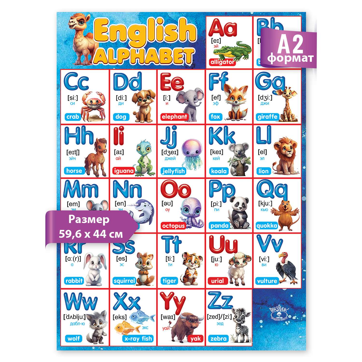 Плакат обучающий на стену Праздник алфавит английский язык english с картинками и транскрипцией азбука - фото 1