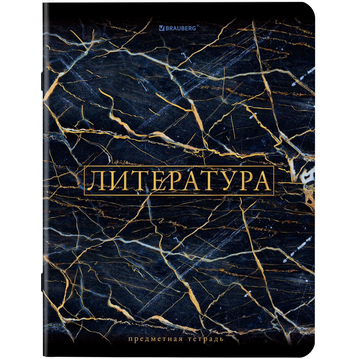 Набор тетрадей Brauberg предметные со справочным материалом в клетку/линейку 12шт. 48л Marble - фото 16