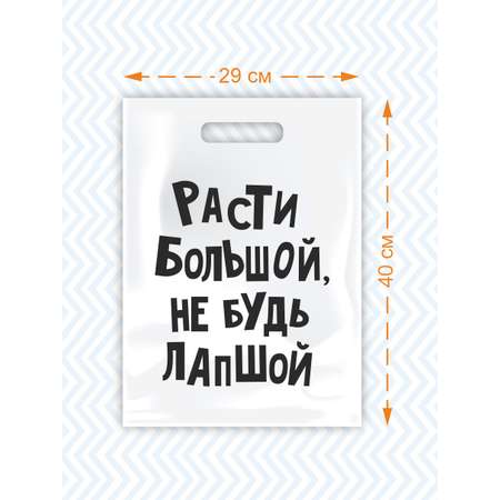 Пакет Амарант подарочный Расти большой не будь лапшой 1 шт