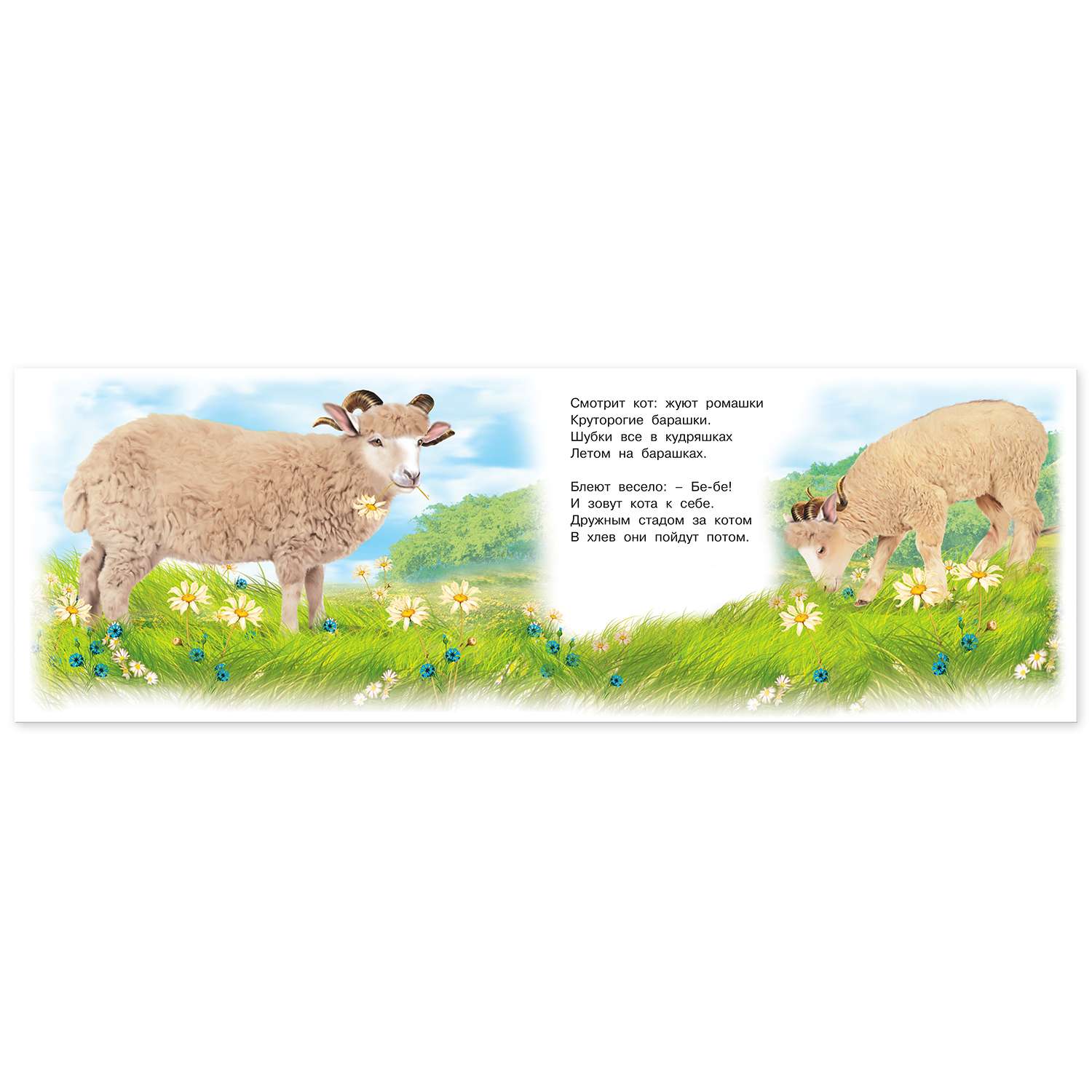 Набор книг Фламинго Развивающая и познавательная серия для малышей - Знакомимся с животными 6 шт - фото 7