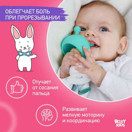 Прорезыватель для зубов ROXY-KIDS Грибочек с держателем в футляре