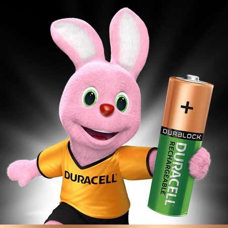 Аккумуляторы Duracell Turbo Ni-MH AA HR06 2400mAh 2шт DRC-81472342