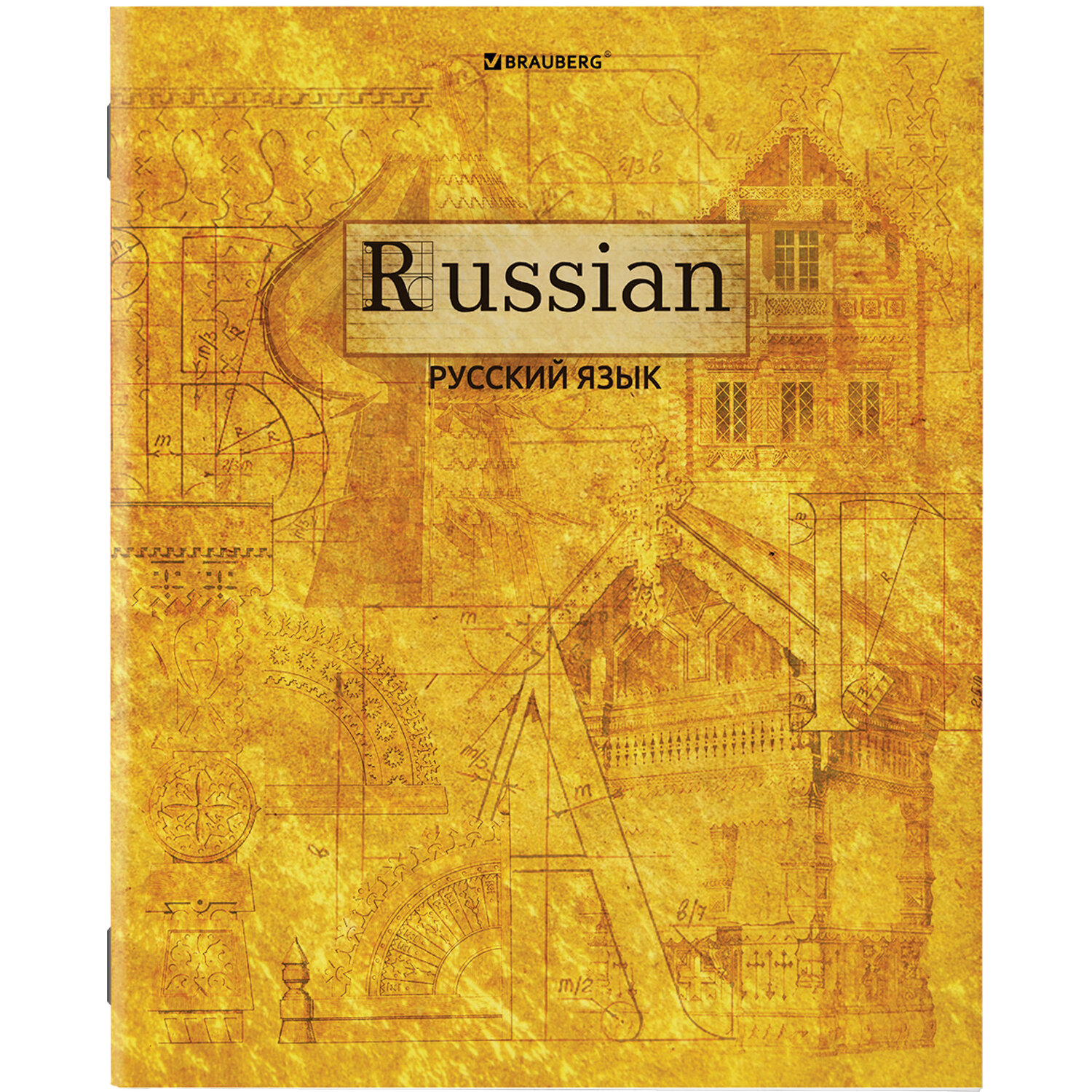 Тетради предметные Brauberg Gold со справочным материалом в клетку/линейку 10 шт 48 л - фото 14