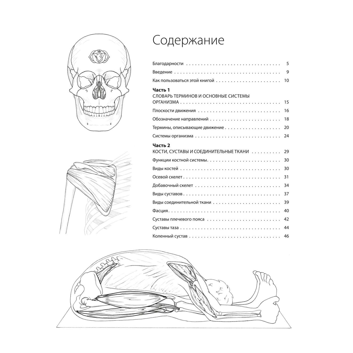 Книга Эксмо Анатомия йоги атлас раскраска Визуальный гид по телу от структуры к осознанной практике - фото 3