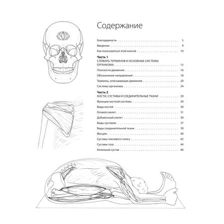 Книга Эксмо Анатомия йоги атлас раскраска Визуальный гид по телу от структуры к осознанной практике