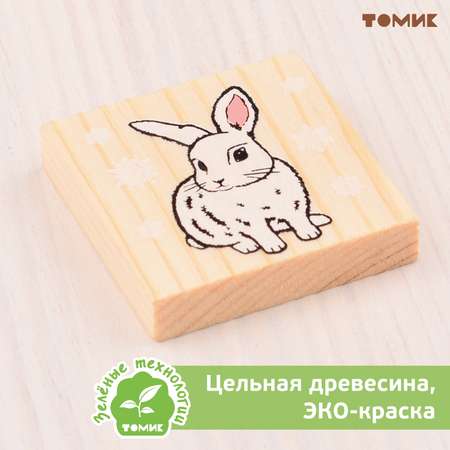 Магнит Томик Символ года Кролик 2022-1