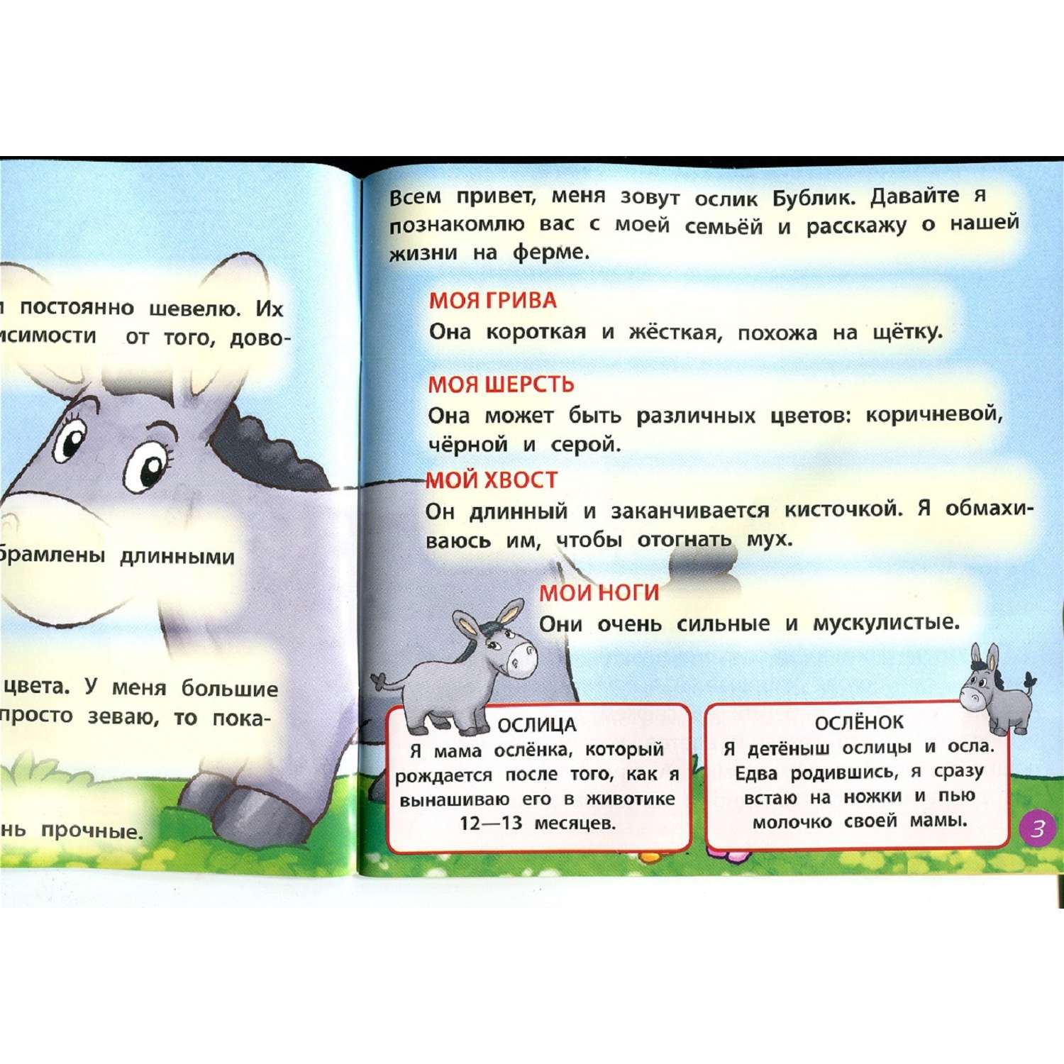 Журналы с 3 игрушками DeAgostini Комплект Животные на ферме №13 и №21 - фото 4