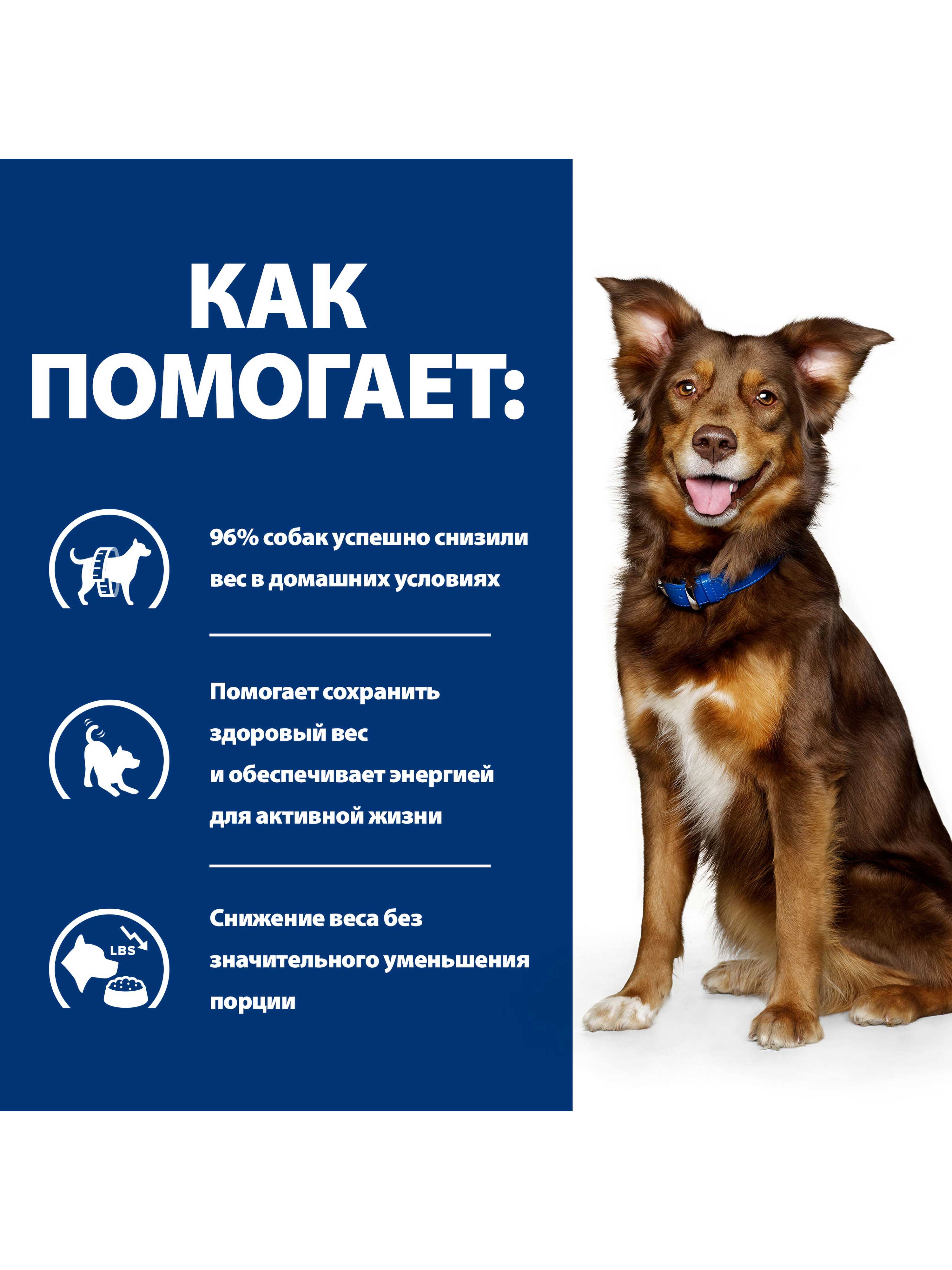 Корм для собак Hills 370г Prescription Diet Metabolic диетический для снижения и контроля веса с курицей консервы - фото 4