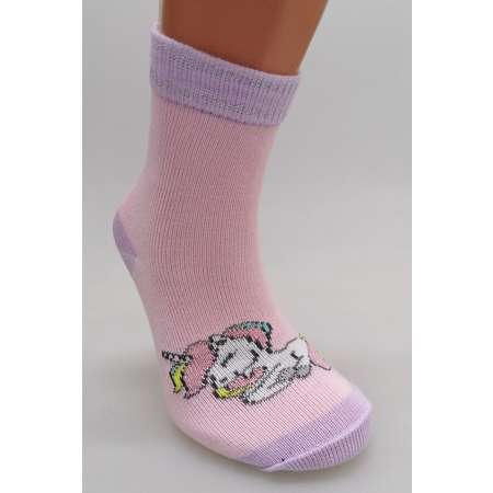 Носки 2 пары Master Socks