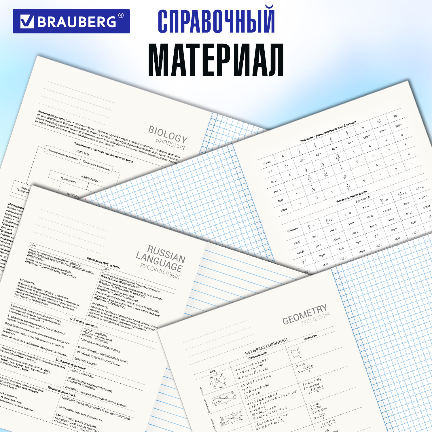 Тетради Brauberg школьные со справочным материалом в клетку/линейку 12 предметов 48 листов Vision - фото 4